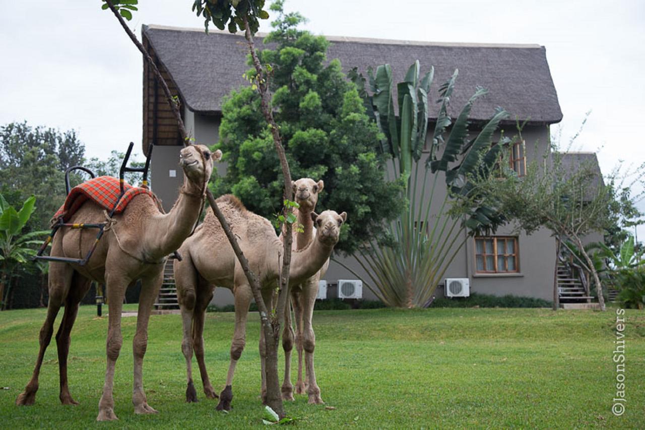 Weru Weru River Lodge Екстериор снимка