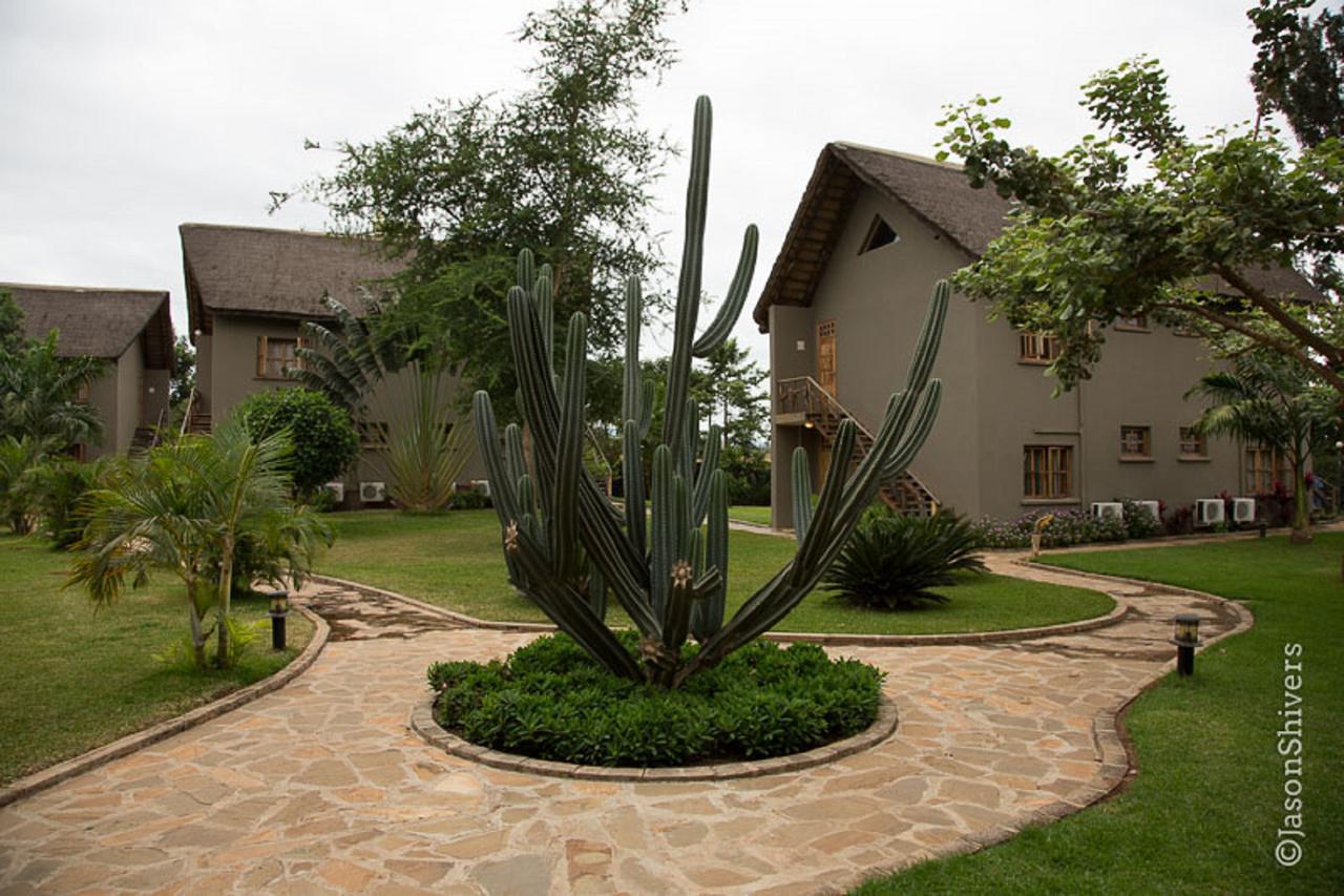 Weru Weru River Lodge Екстериор снимка
